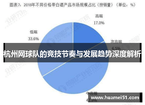 杭州网球队的竞技节奏与发展趋势深度解析